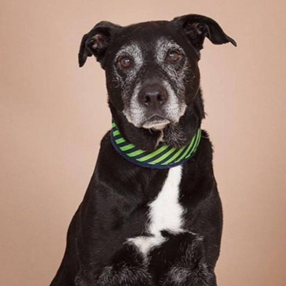 Meet your Posher, Lindsey